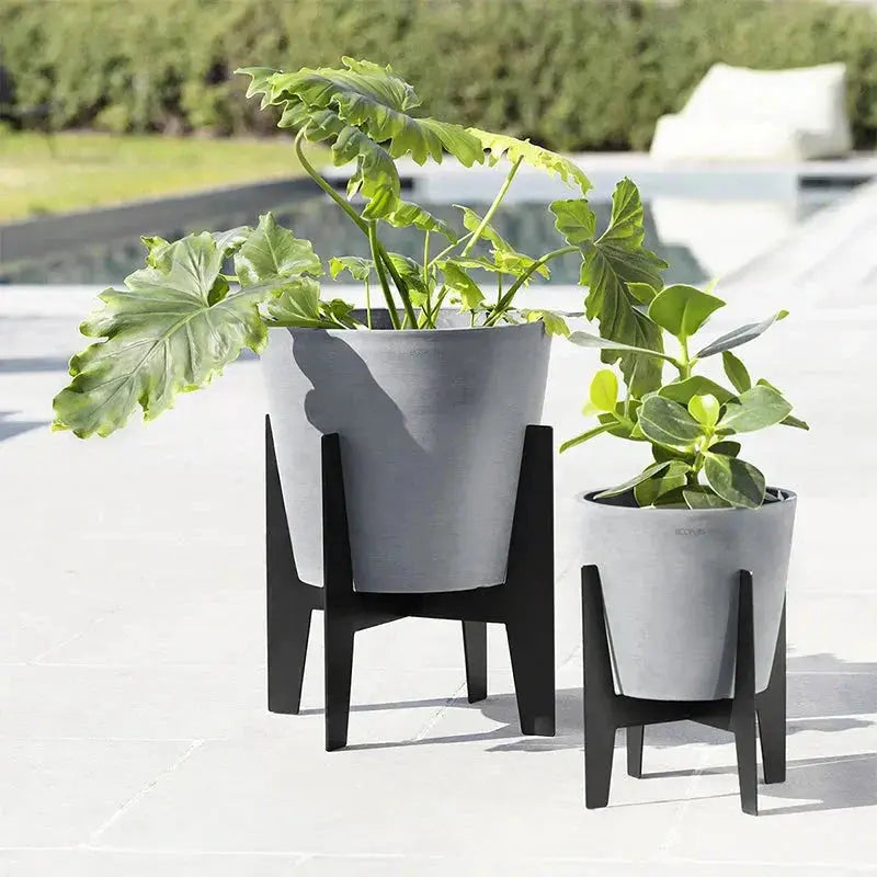 Perché scegliere il vaso giusto per le tue piante: l’esempio Ecopots Planteon