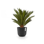 Vaso Oslo - Ecopots - Planteon