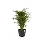 Vaso Oslo - Ecopots - Planteon