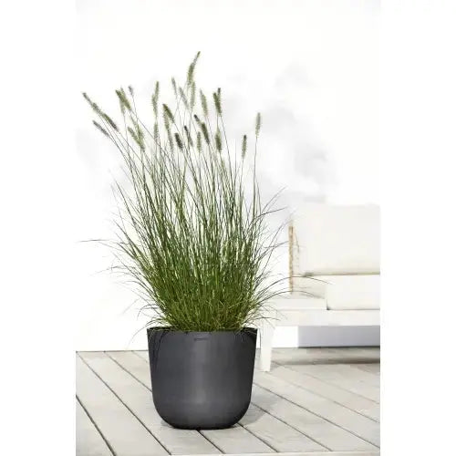 Vaso Oslo - Ecopots - Planteon