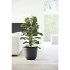 Vaso Oslo - Ecopots - Planteon
