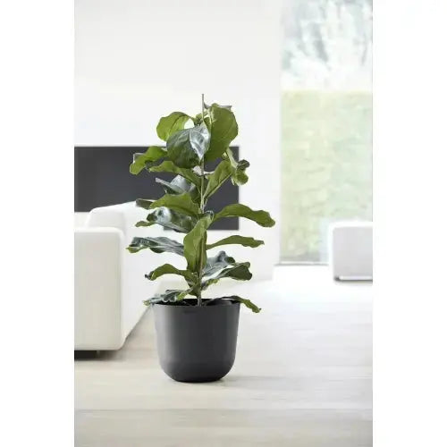 Vaso Oslo - Ecopots - Planteon