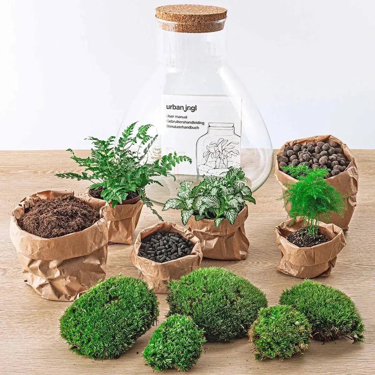 Kit Terrario Verde - Planteon