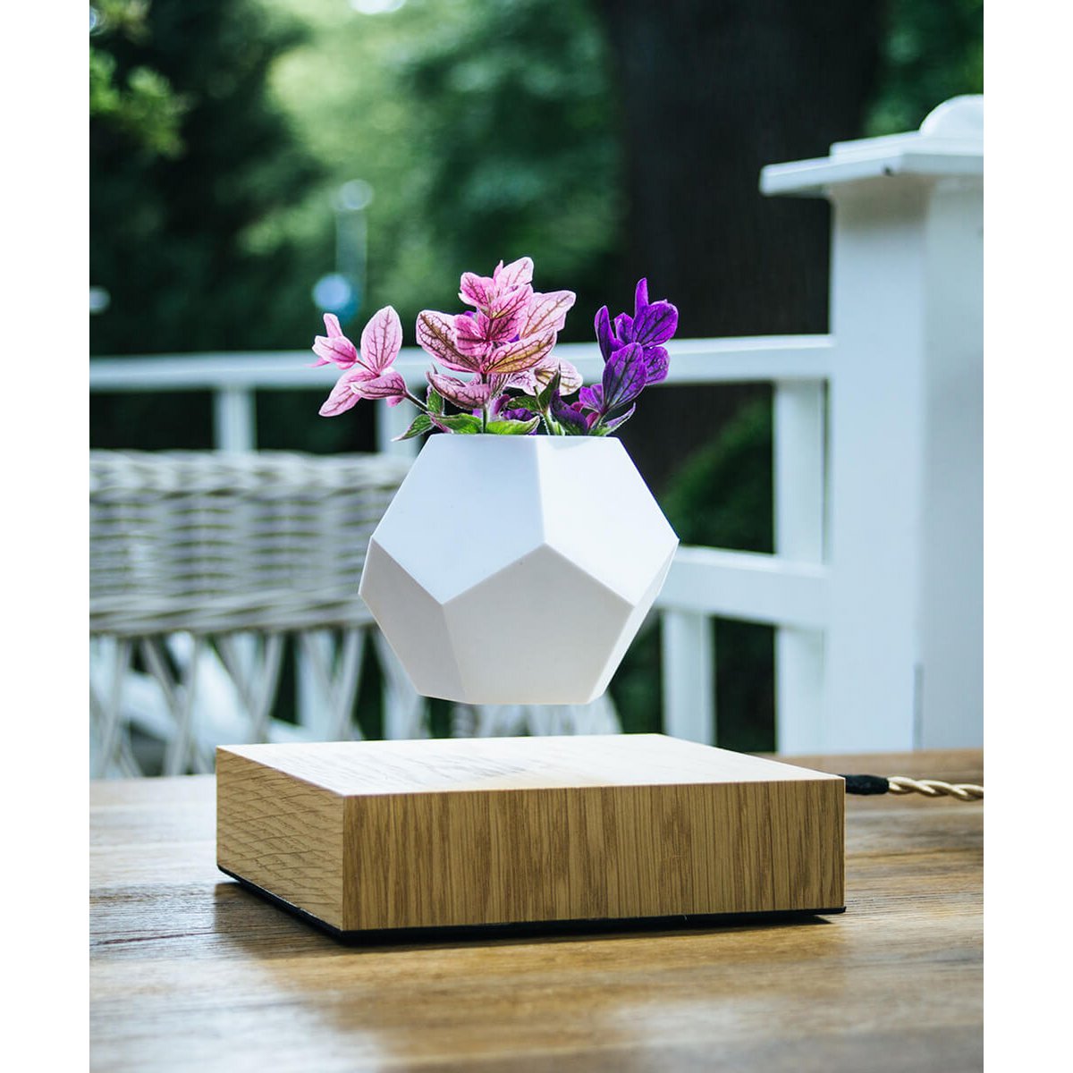 Vaso Levitante Magnetico - LYFE Planter - Quercia