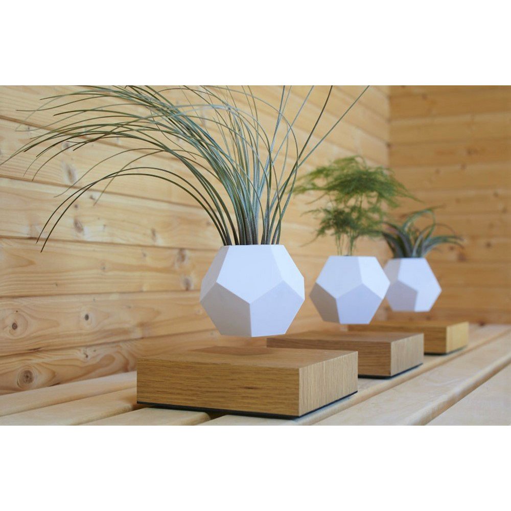 Vaso Levitante Magnetico - LYFE Planter - Quercia
