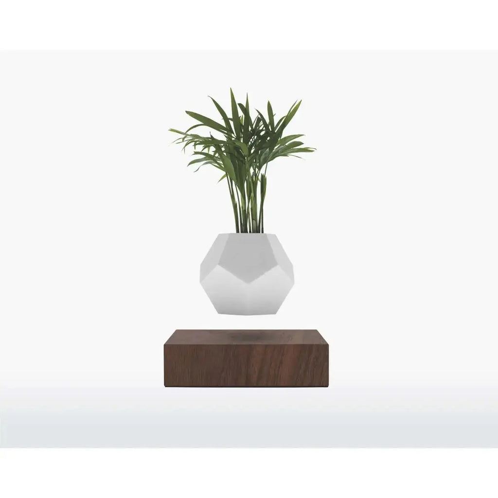 Vaso Levitante Magnetico - LYFE Planter - Quercia - Planteon