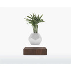 Vaso Levitante Magnetico - LYFE Planter - Quercia - Planteon