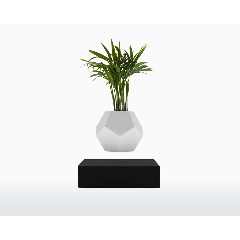 Vaso Levitante Magnetico - LYFE Planter - Quercia