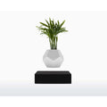 Vaso Levitante Magnetico - LYFE Planter - Quercia