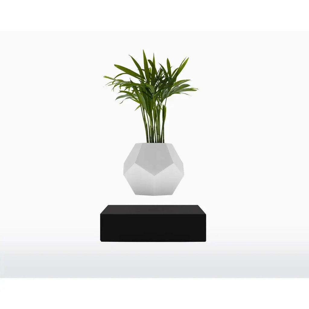 Vaso Levitante Magnetico - LYFE Planter - Quercia - Planteon