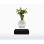 Vaso Levitante Magnetico - LYFE Planter - Quercia - Planteon