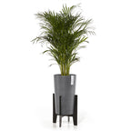 Vaso Amsterdam High 50 - Ecopots