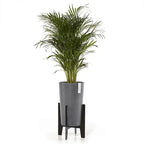 Vaso Amsterdam High 50 - Ecopots - Planteon