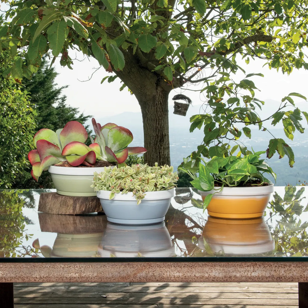 Bowl Exclusive ambientata
