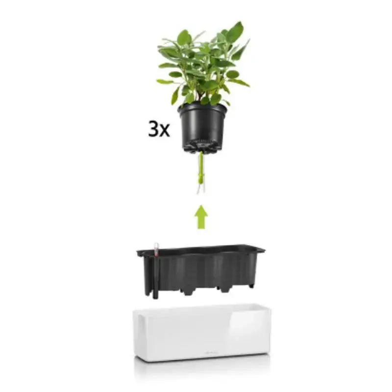 Cube Glossy Triple - Set completo - Lechuza - Planteon