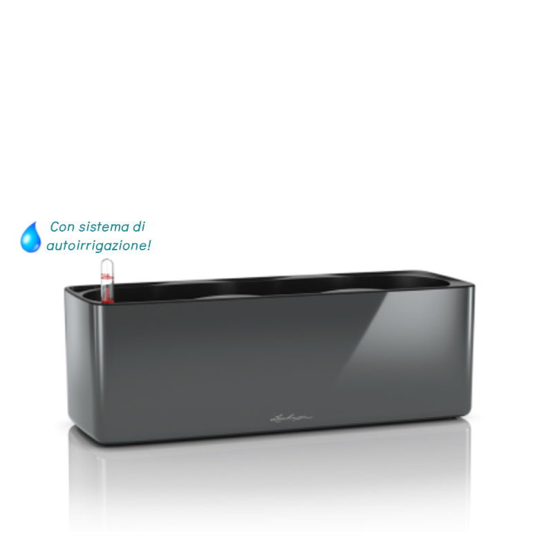 Cube Glossy Triple - Set completo - Lechuza