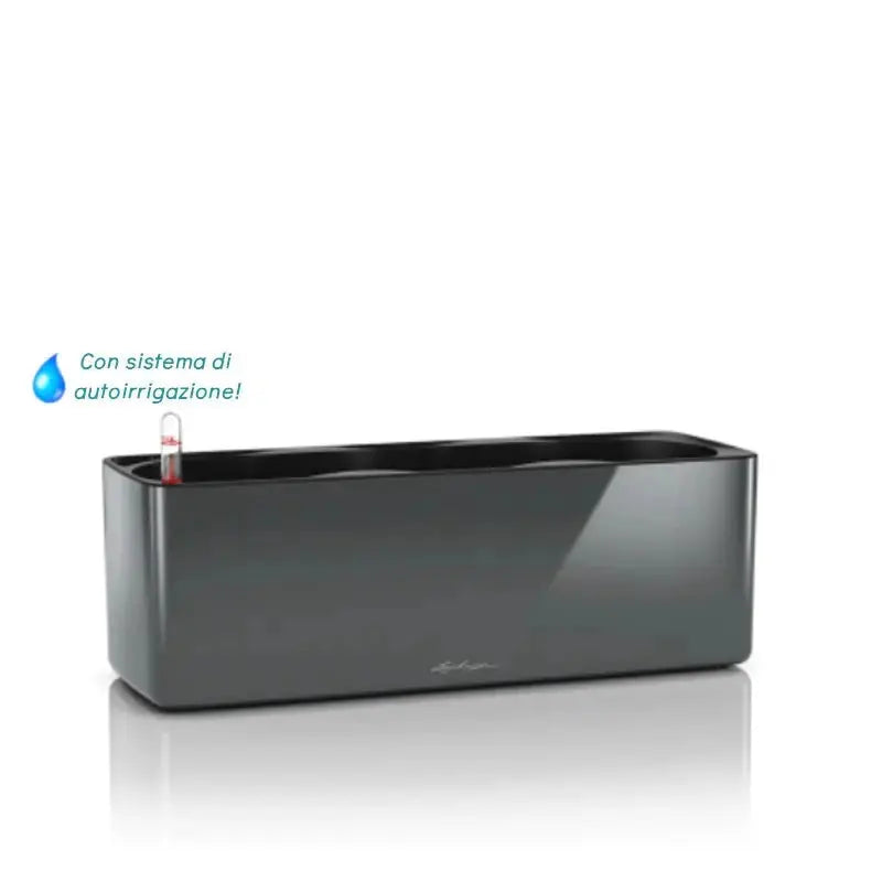 Cube Glossy Triple - Set completo - Lechuza - Planteon