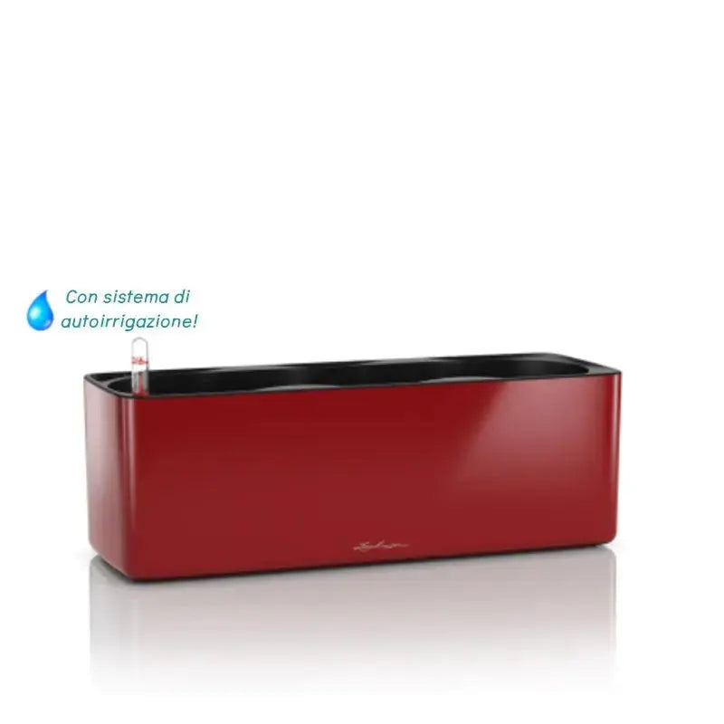 Cube Glossy Triple - Set completo - Lechuza - Planteon