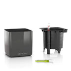 Lechuza Cube Glossy 16