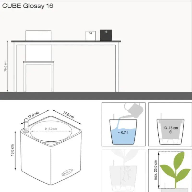 Lechuza Cube Glossy 16