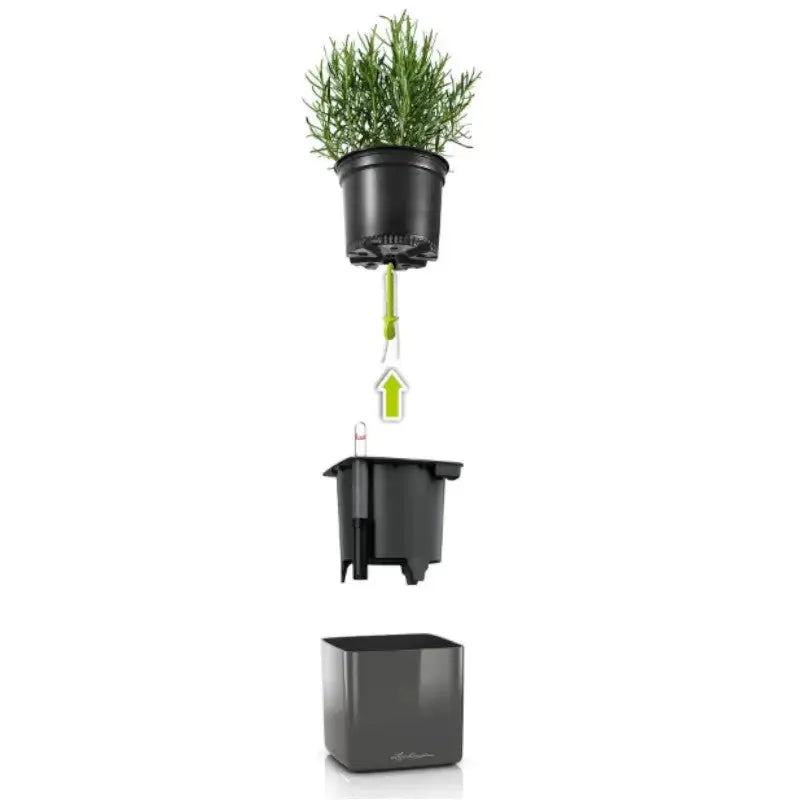 Lechuza Cube Glossy 16