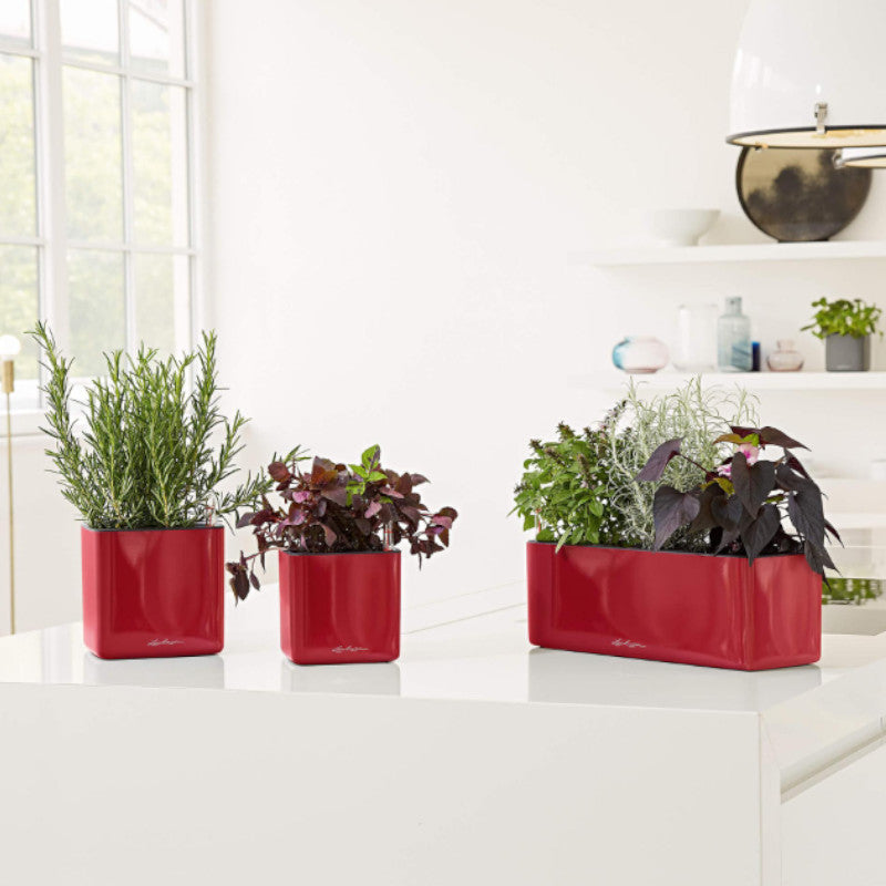 Lechuza Cube Glossy 16