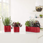 Lechuza Cube Glossy 16