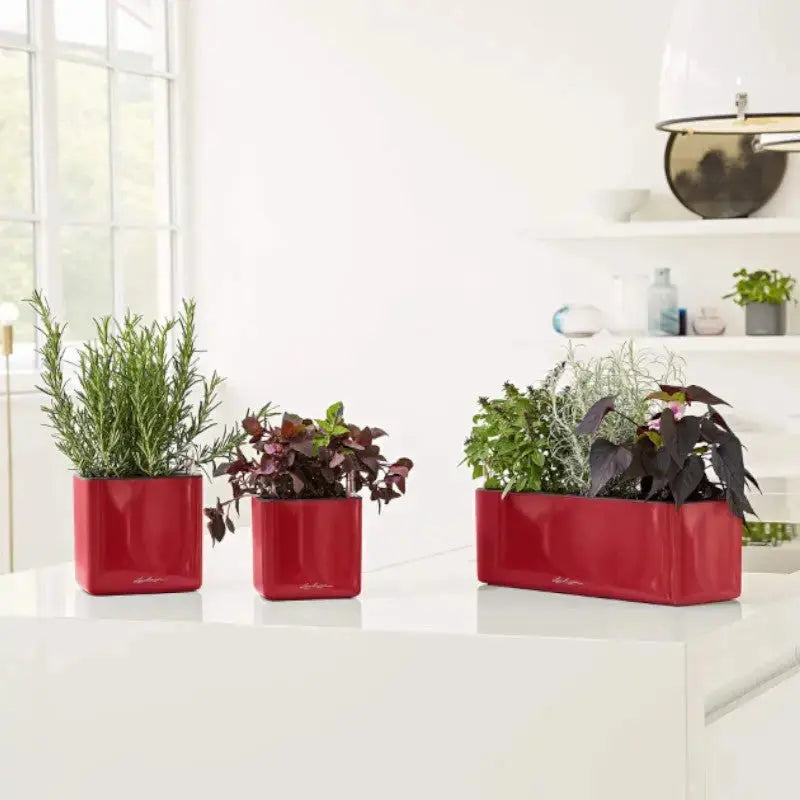 Lechuza Cube Glossy 16