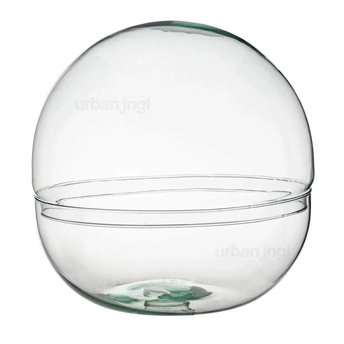 Cupola di vetro per terrari