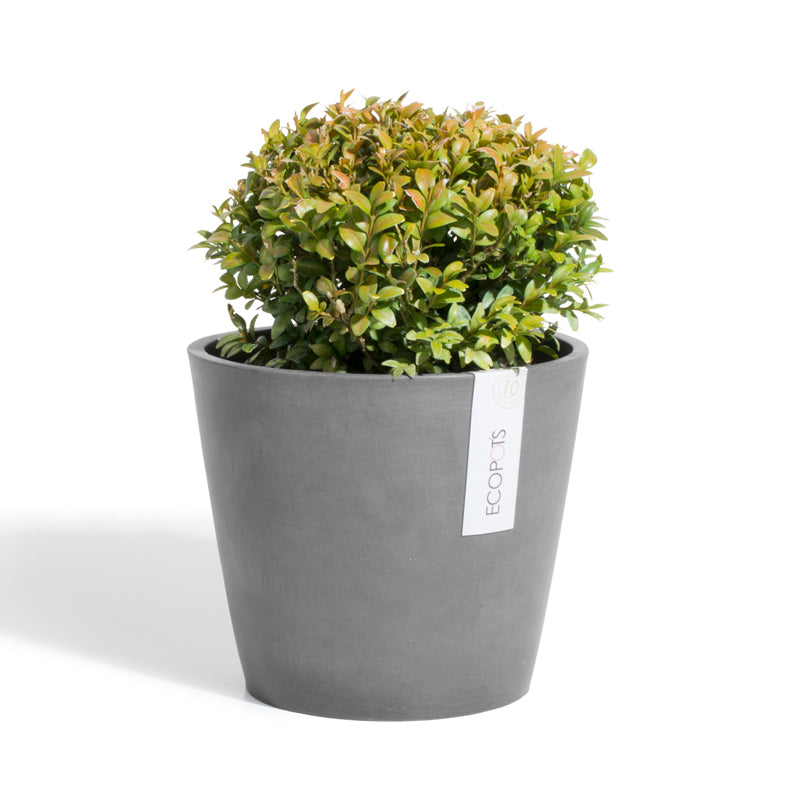 Ecopots Amsterdam 20