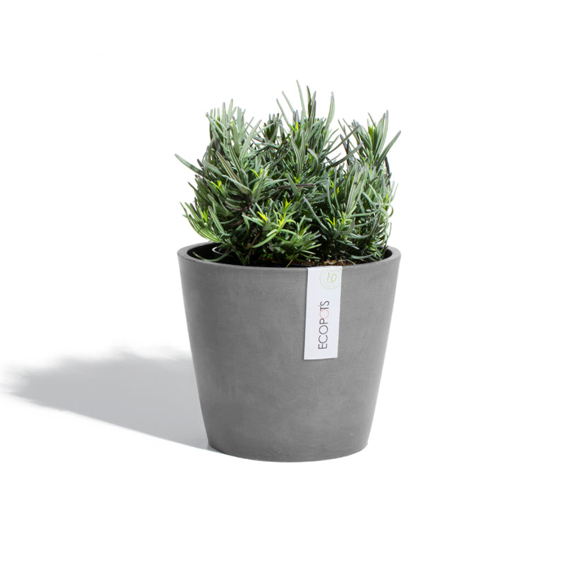 Ecopots Amsterdam 20