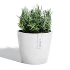 Ecopots Amsterdam 20
