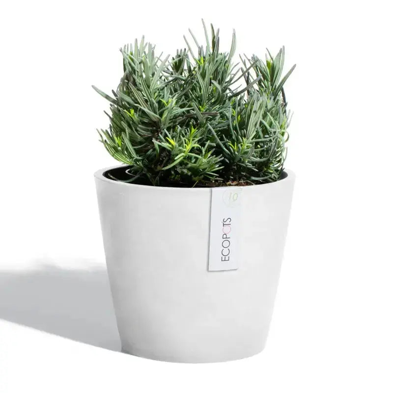 Ecopots Amsterdam 20