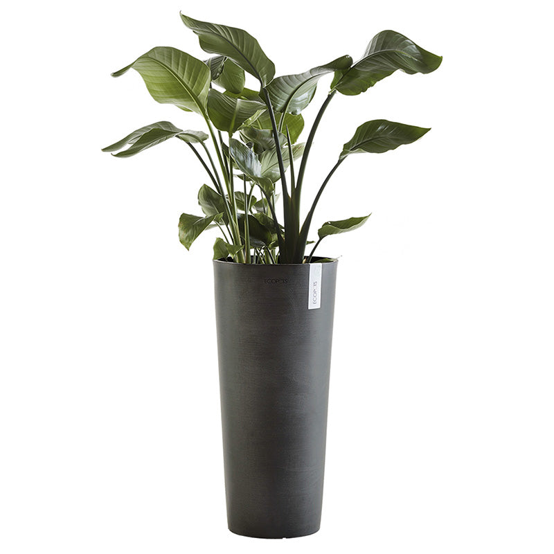 Vaso Amsterdam High 50 - Ecopots