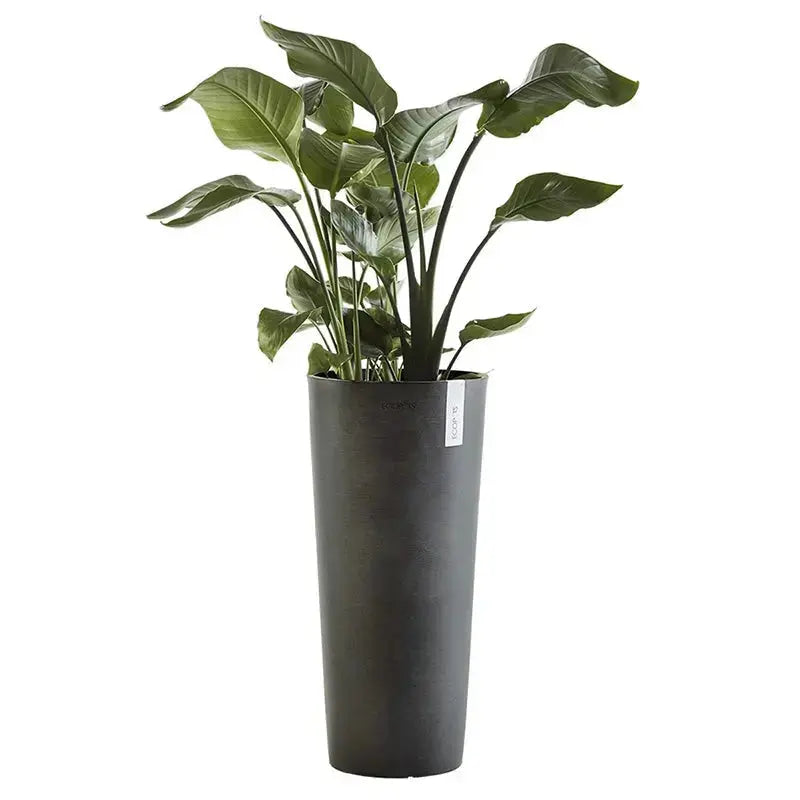Vaso Amsterdam High 50 - Ecopots - Planteon