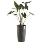 Vaso Amsterdam High 50 - Ecopots