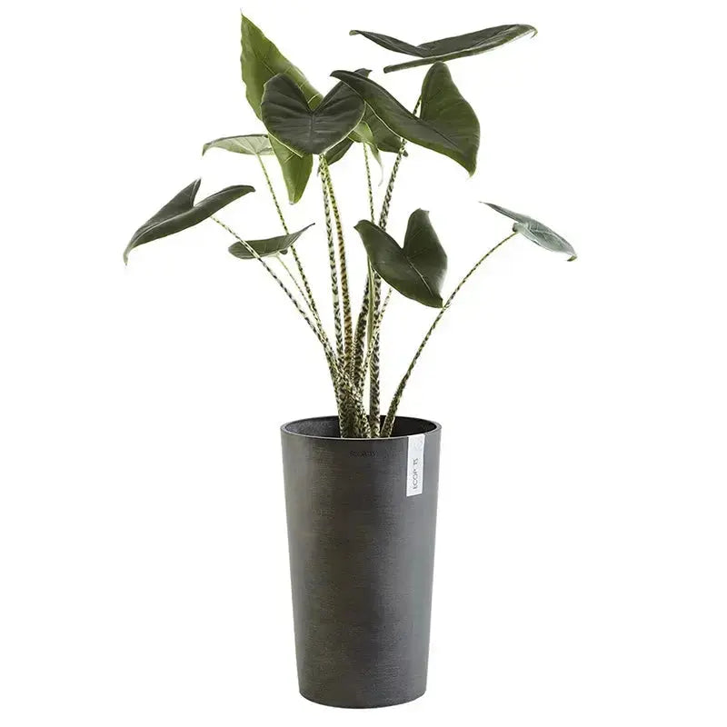 Vaso Amsterdam High 50 - Ecopots - Planteon