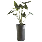 Vaso Amsterdam High 50 - Ecopots - Planteon