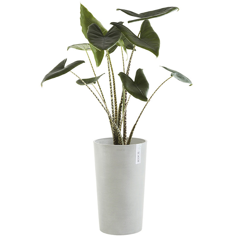 Vaso Amsterdam High 50 - Ecopots