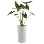 Vaso Amsterdam High 50 - Ecopots