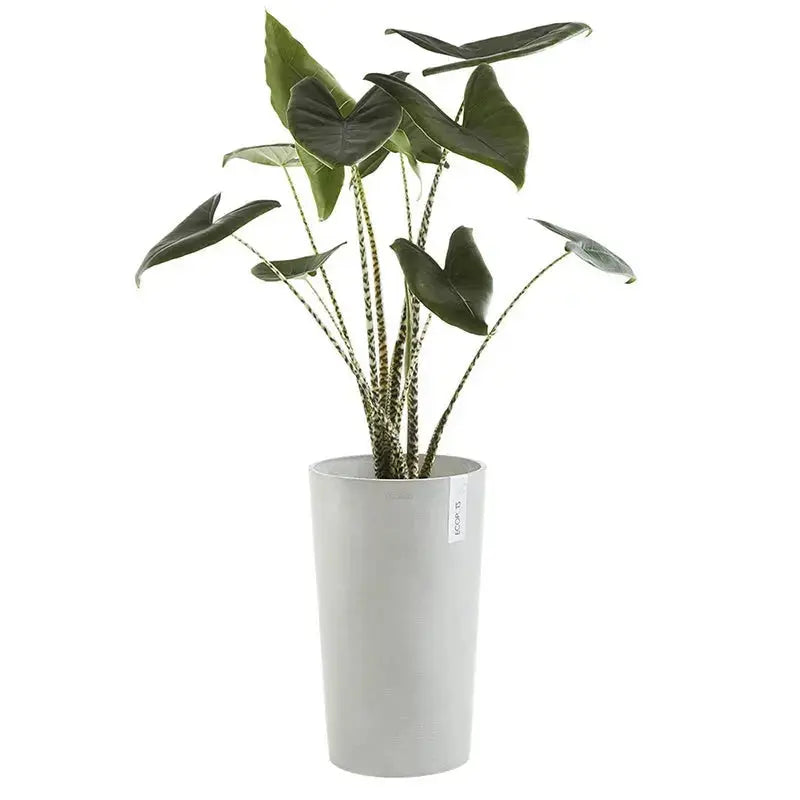 Vaso Amsterdam High 50 - Ecopots - Planteon