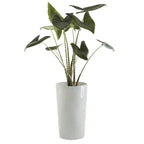Vaso Amsterdam High 50 - Ecopots - Planteon