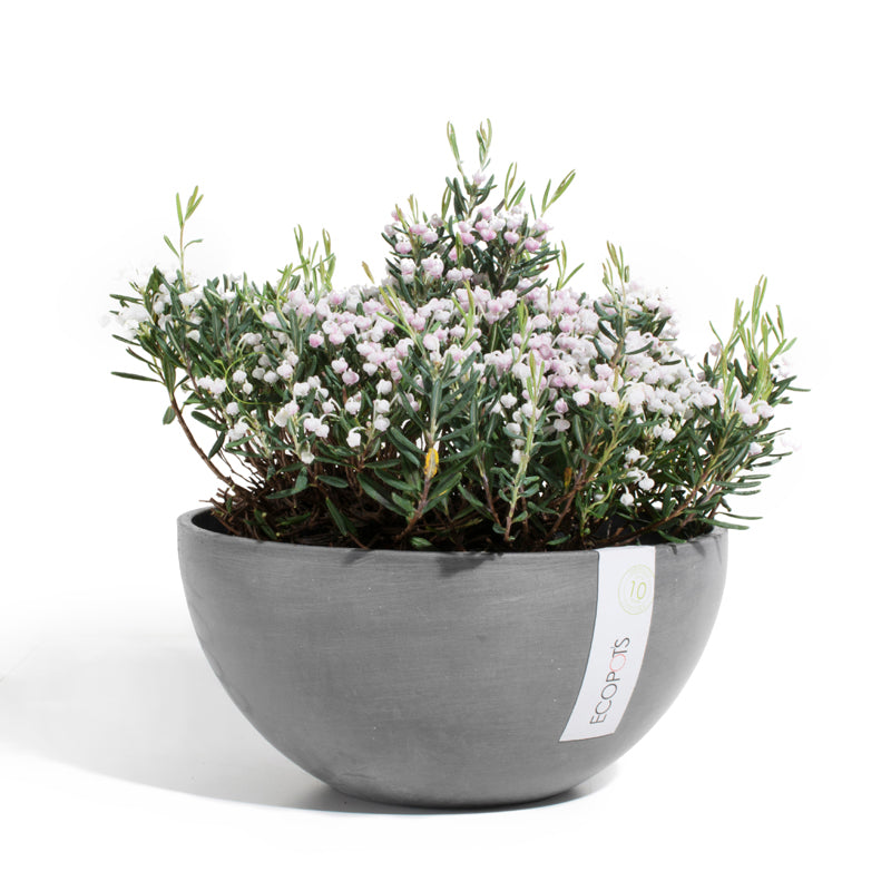 Ciotola Brussels - Ecopots