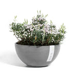 Ciotola Brussels - Ecopots - Planteon