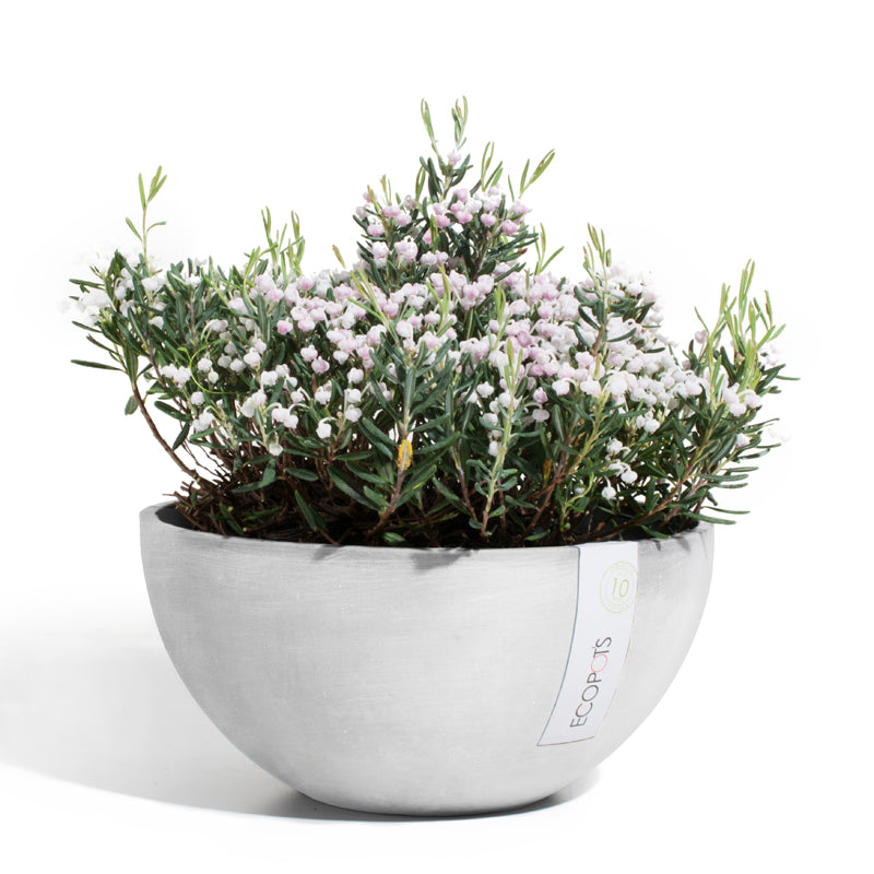 Ciotola Brussels - Ecopots