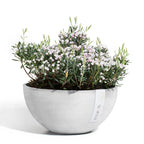 Ciotola Brussels - Ecopots