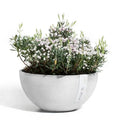 Ciotola Brussels - Ecopots - Planteon