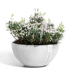 Ciotola Brussels - Ecopots - Planteon