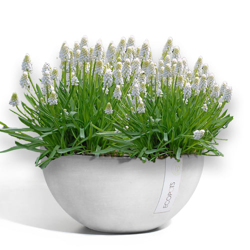 Ciotola Brussels - Ecopots