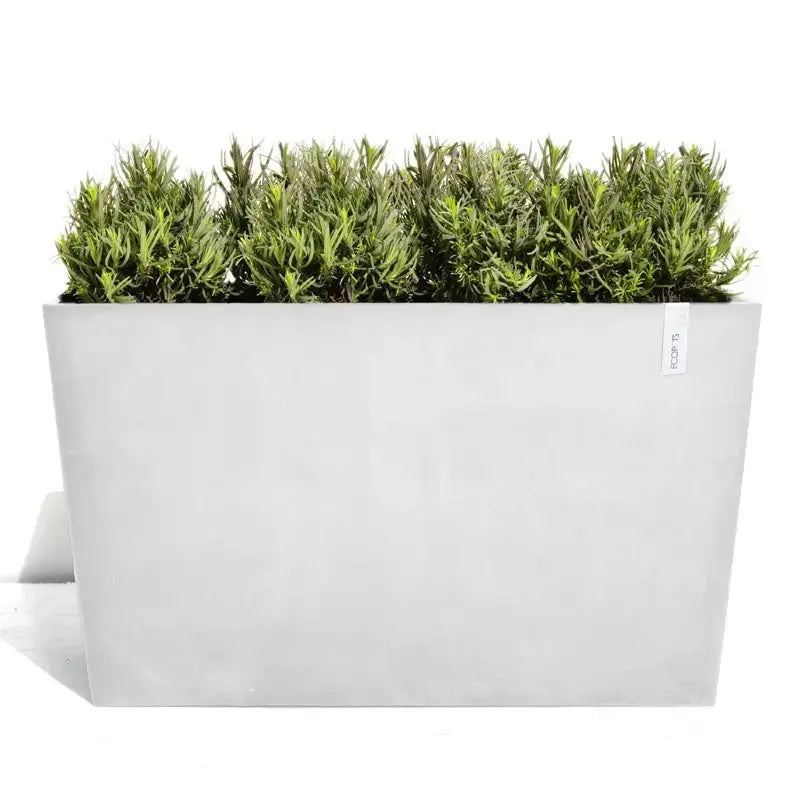 Fioriera Ecopots Paris 80